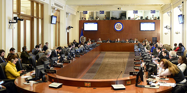 Presentación ante la OEA