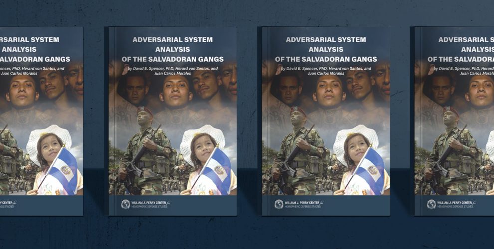 Adversarial System Analysis of the Salvadoran Gangs