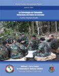 Strategy in Colombia: Variations in the Center of Gravity